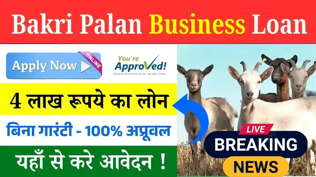 Bakri Palan Business Loan