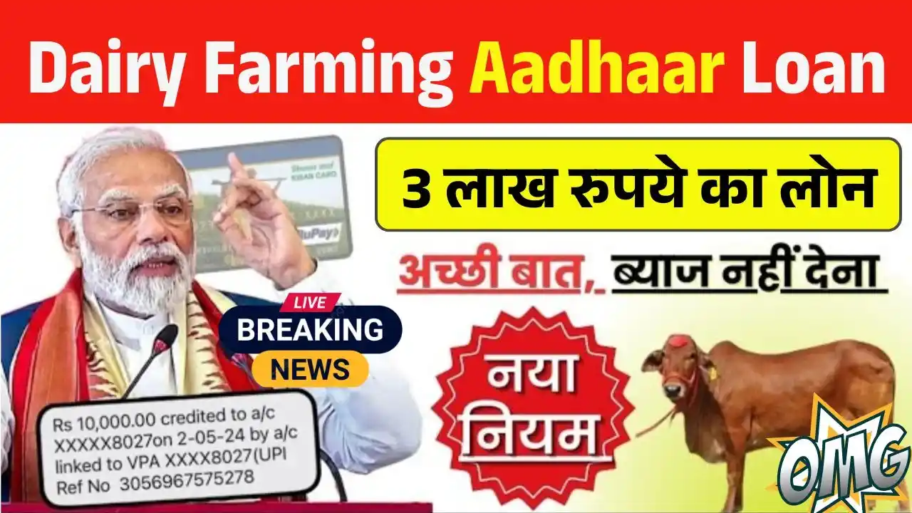 Dairy Farming Aadhaar Card Loan