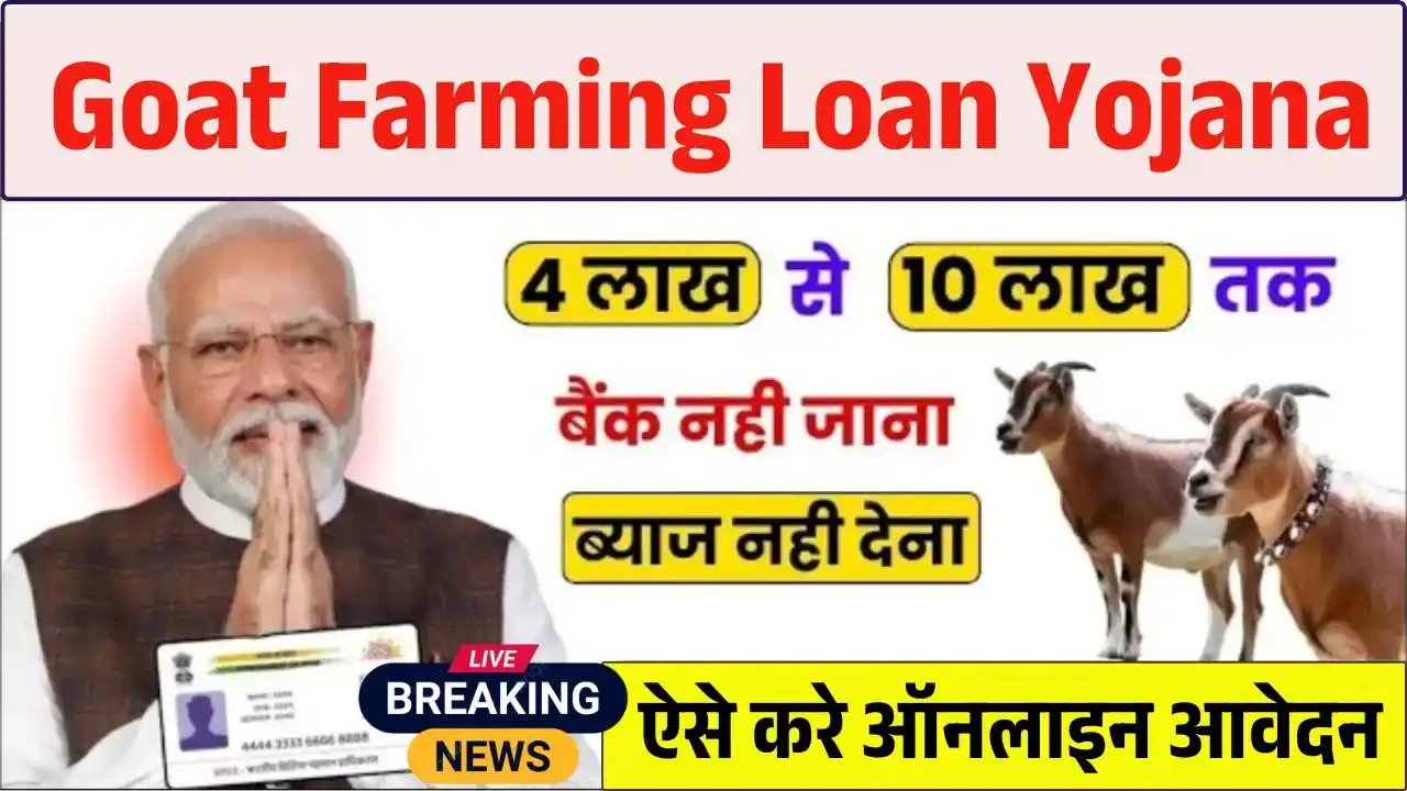 Goat Farming Loan Yojana